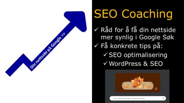 PDF med blå pil hvor det står din nettside på Google og SEO Coaching